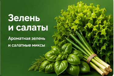 Зелень и салаты