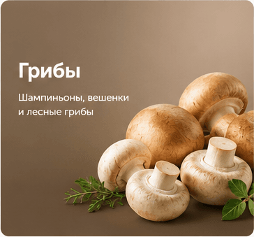 Грибы
