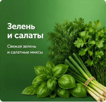 Зелень и салаты