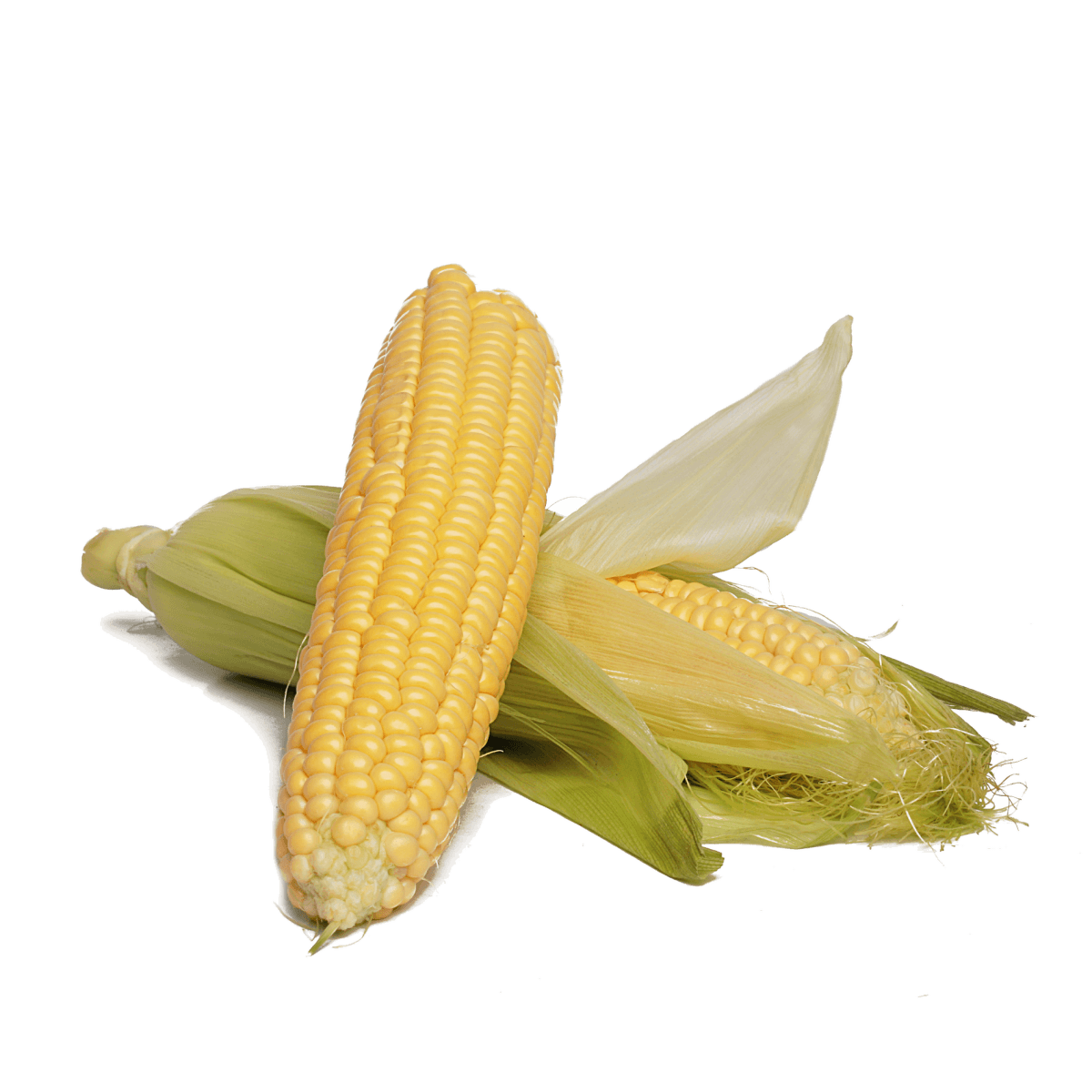 Кукуруза молодая