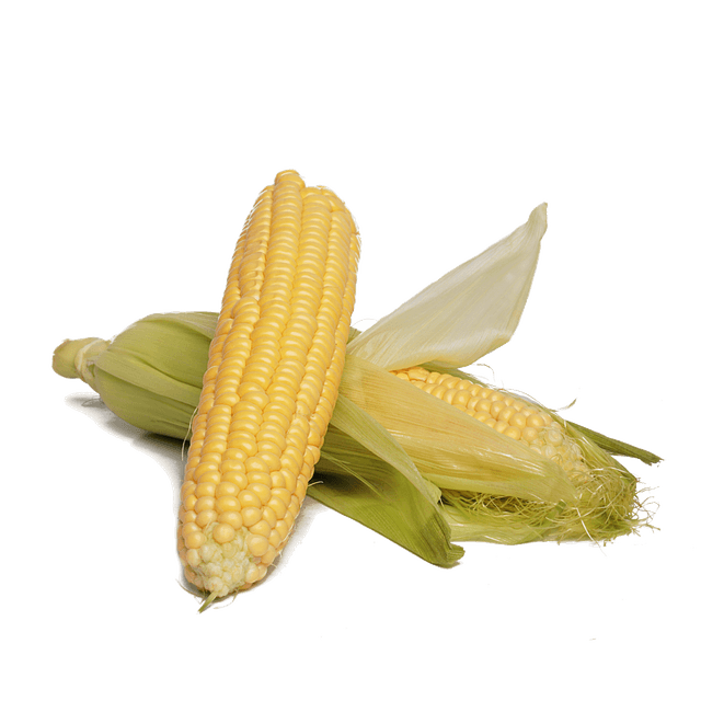 Кукуруза молодая