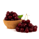 Вишня сезонная