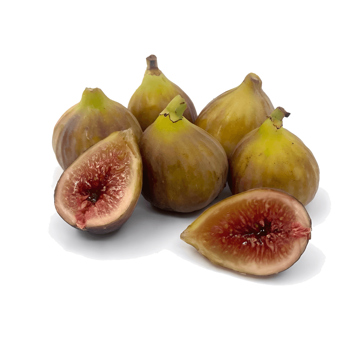 Инжир коричневый самолетный