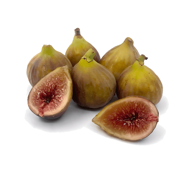Инжир коричневый самолетный