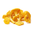 Грибы лисички лесные