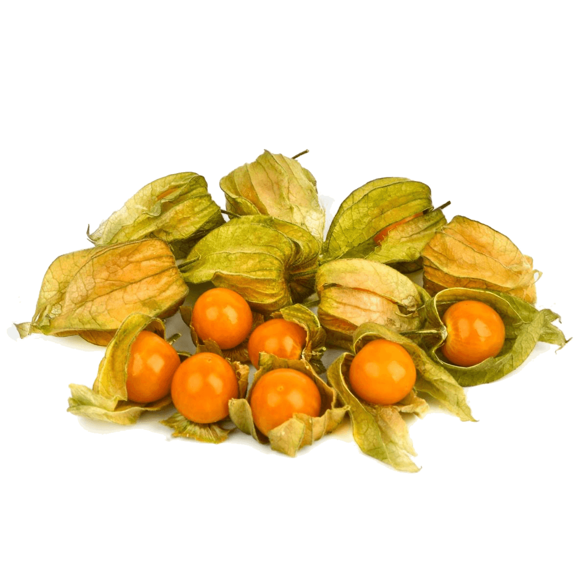 Физалис eco