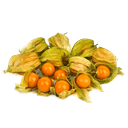 Физалис eco