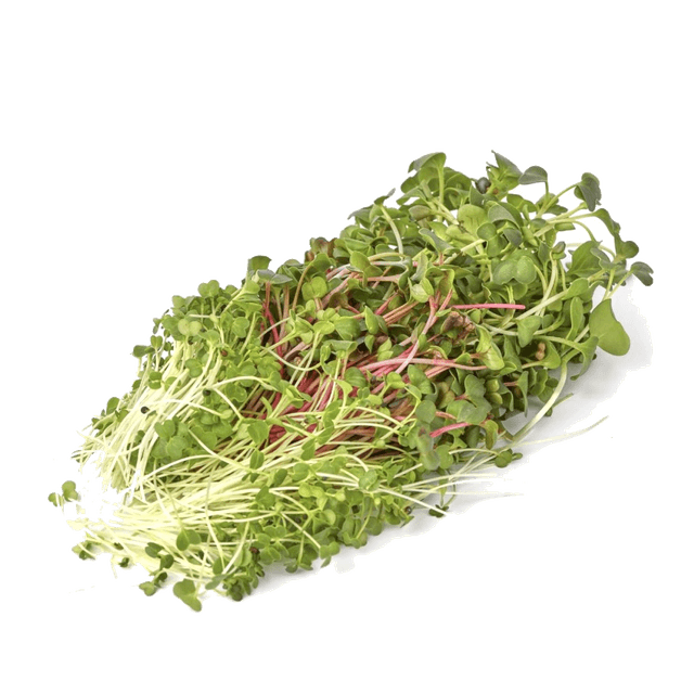 Микрозелень микс пикантный