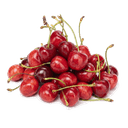 Черешня сезонная