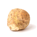 Сельдерей корень