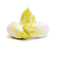 Цикорий (эндивий) салатный
