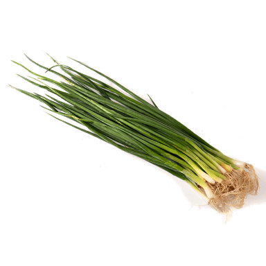 Лук