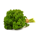 Петрушка кудрявая