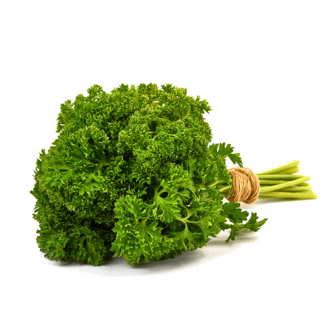 Петрушка кудрявая