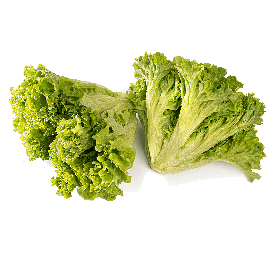 Салат листовой