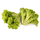 Салат листовой