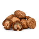 Грибы шиитаке