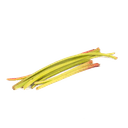 Ревень