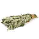 Шалфей