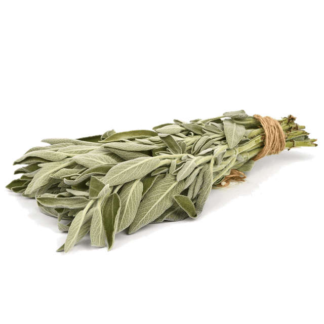 Шалфей