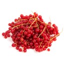 Красная смородина сезонная