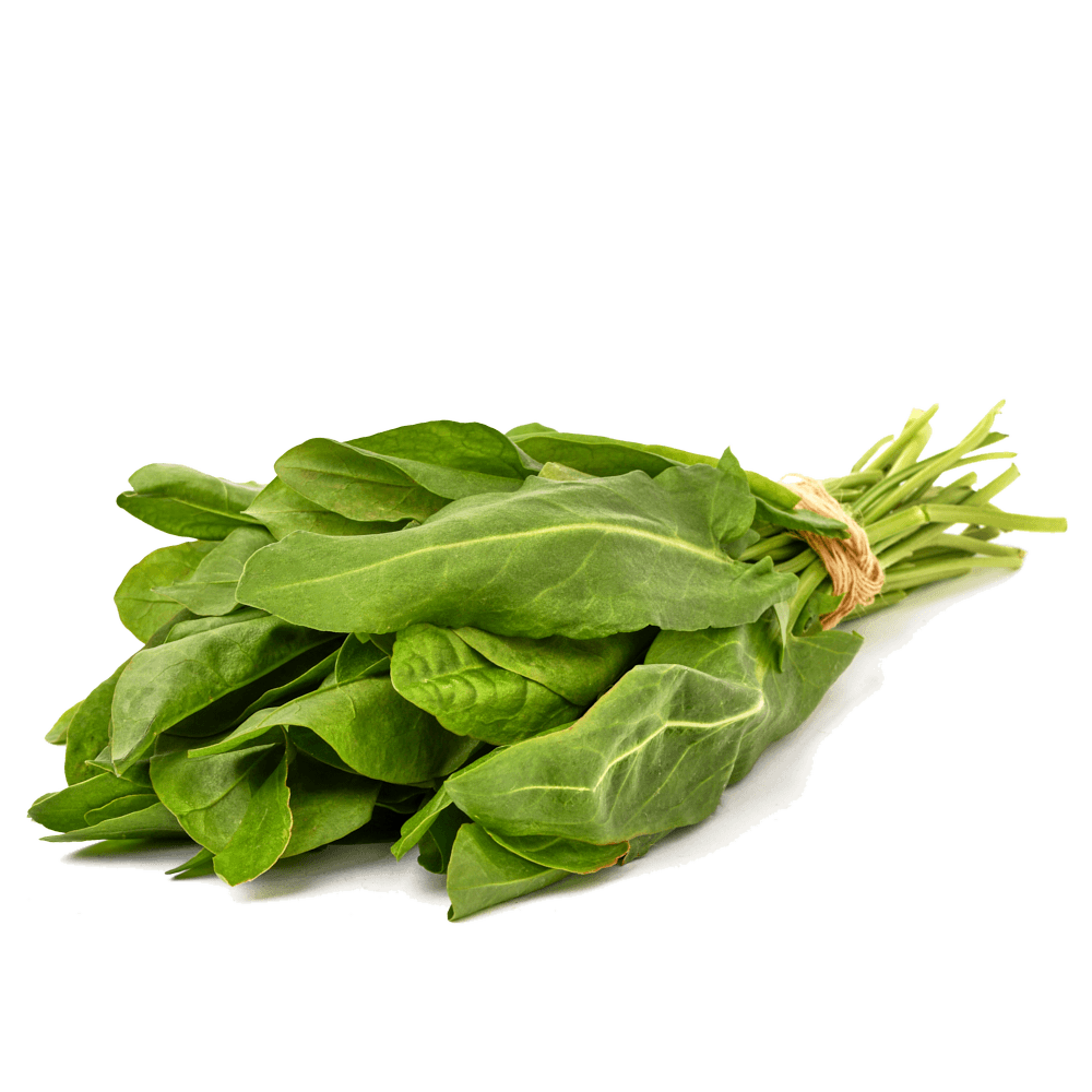 Щавель