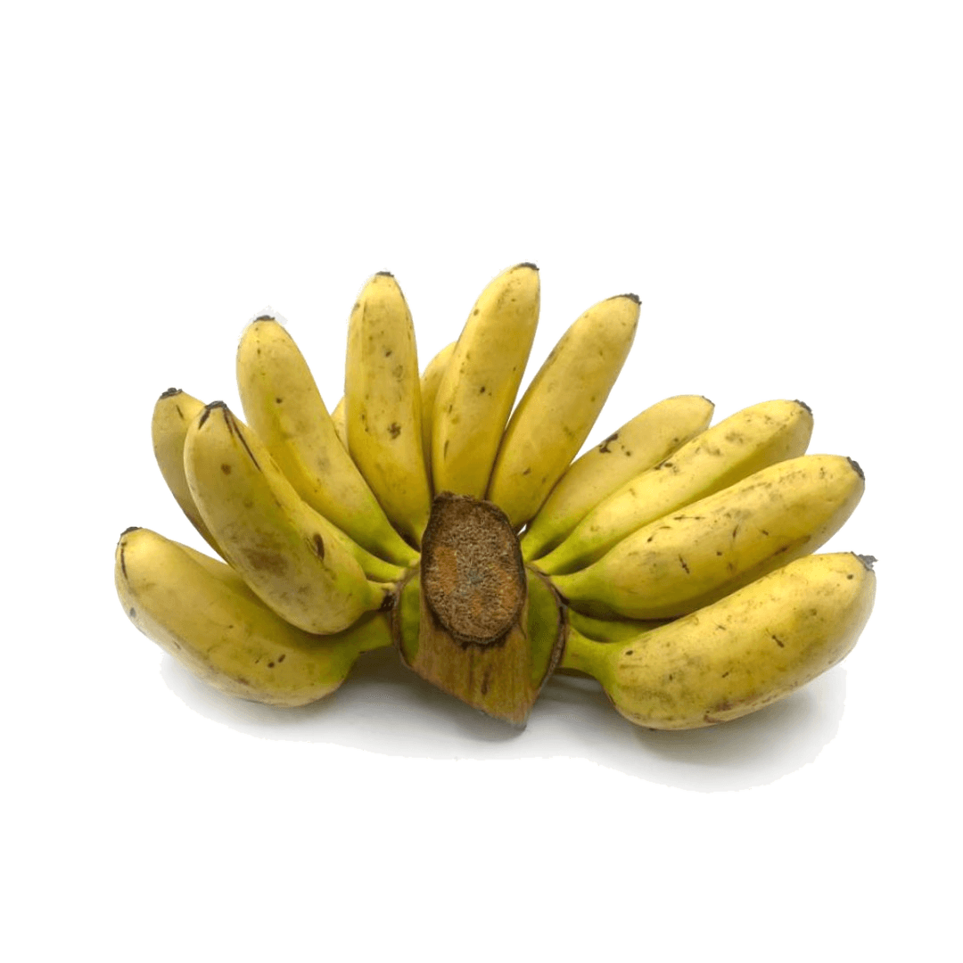 Бананы дикие