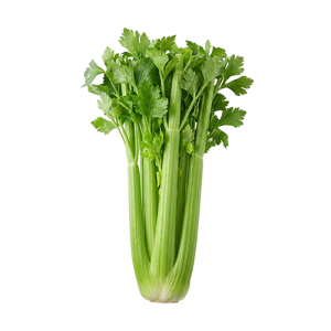 Сельдерей