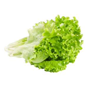 Салат листовой