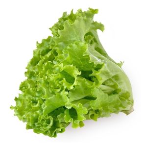 Листовой салат