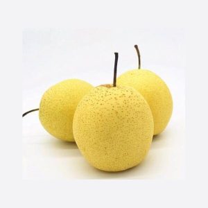 Груша Сюэхуа (Snow Pear, снежная груша)