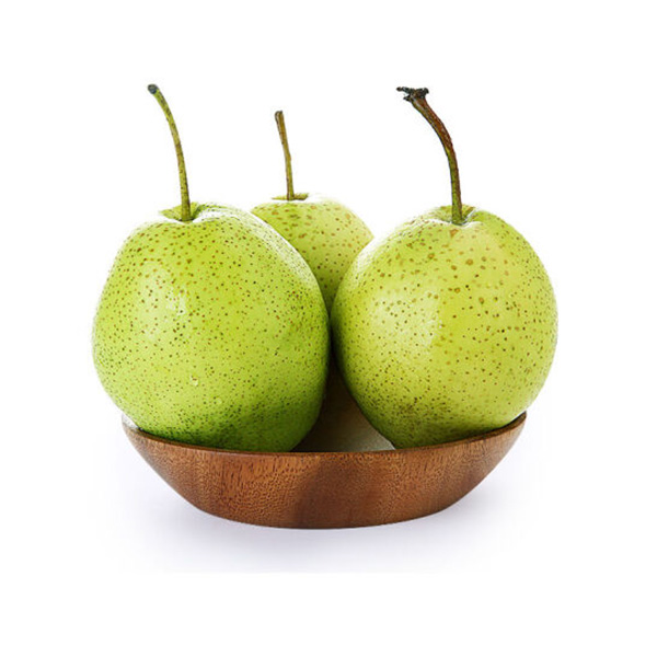 Груша Сюэхуа (Snow Pear, снежная груша) — изображение 2