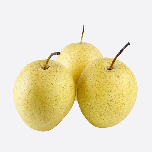Груша Сюэхуа (Snow Pear, снежная груша) — изображение 3