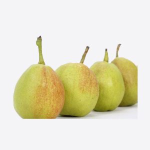 Груша Новая ароматная (New Fragrant Pear)