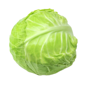 Капуста
