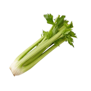 Сельдерей